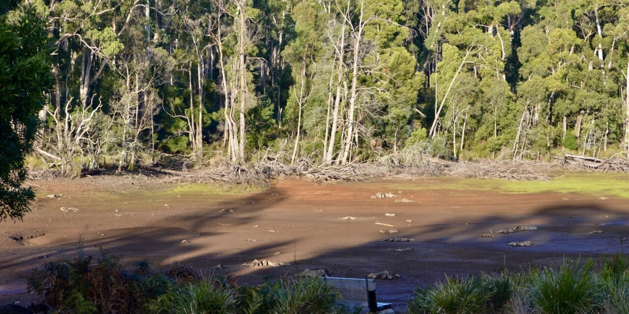 Water Restrictions to Commence in Daylesford and Hepburn Region from July 1