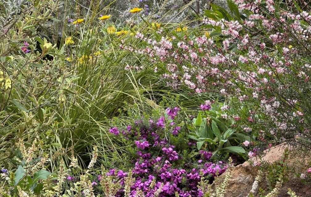 Summer in the Garden