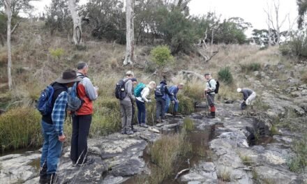 Walking Country: Nature, Trails and the Future of Outdoor Tourism
