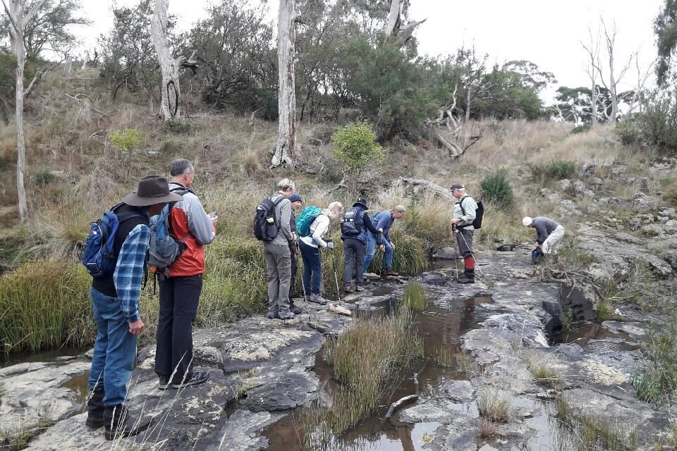 Walking Country: Nature, Trails and the Future of Outdoor Tourism