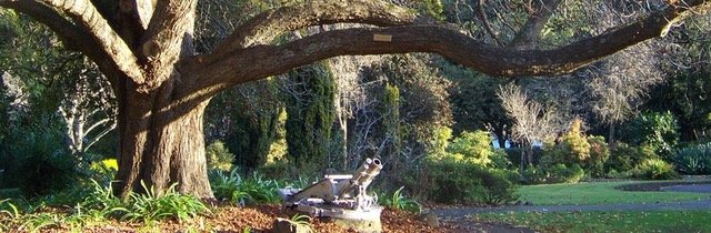 Wombat Hill Botanic Gardens: Hepburn Shire’s Significant Cultural and Community Asset