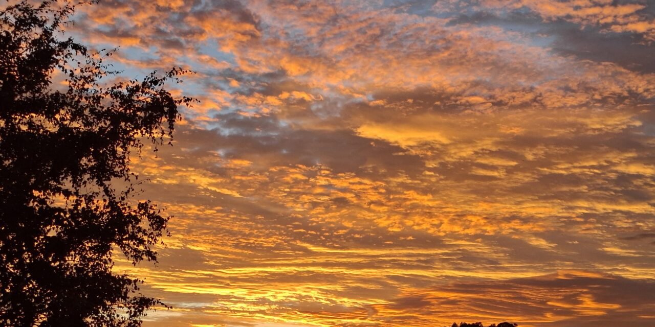 Pleasant and cooler weather rolls in