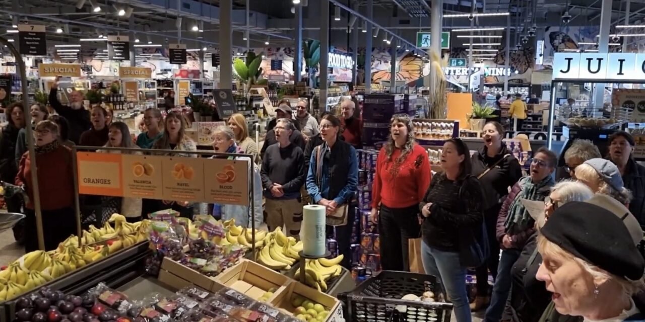 Writer’s Corner: Flashmob in Coles!
