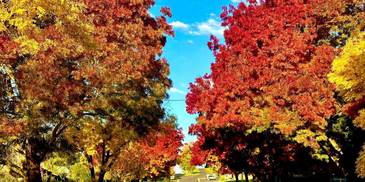 Picture of the week: Autumn has arrived