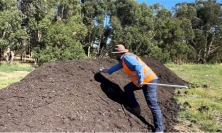 Compost available for local residents