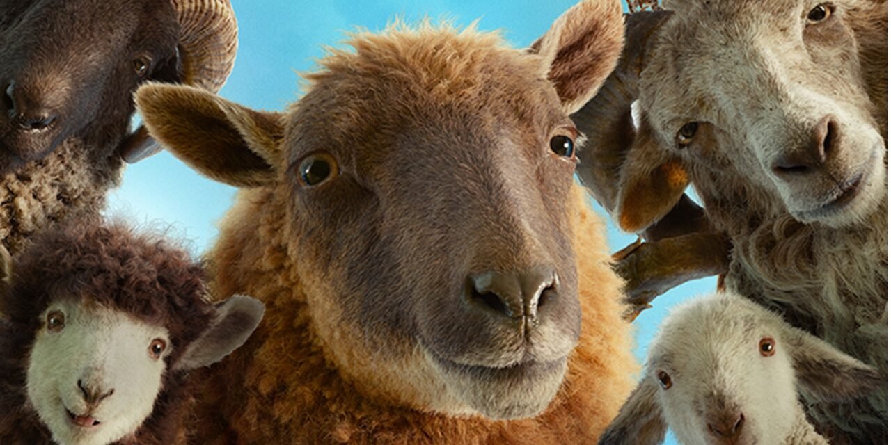 Sheep Detectives and more at the Phoenix